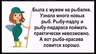 Ух и посидели вчера! -Дааа, кстати, кума, зайди сегодня, верни кошку и забери шапку.