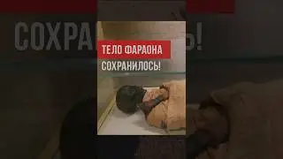 Тело фараона аль-Валид ибн Мус‘аб сохранилось до наших дней и пребывает в музее Египта. #ислам #думу