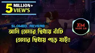 KARONE OKARONE [SLOWED+REVERB] | আমি তুমার দ্বিধায় বাঁচি তুমার দ্বিধায় পড়ে ছাই | BANGLA MUSIC |