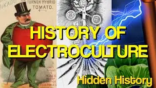 Electroculture History | How Does Electroculture Work ?