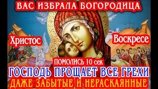 26 апреля ВСЕ ГРЕХИ ПРОЩАЮТСЯ Сразу будет БЕЛАЯ ПОЛОСА В СВЕТЛУЮ ПЯТНИЦУ