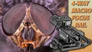 Review of the 