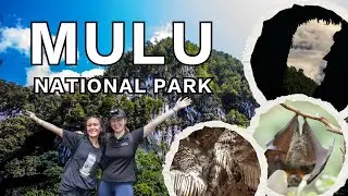 Mulu National Park: The Largest and Longest Caves in the World!