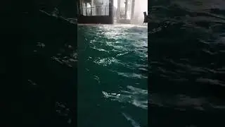теплый бассейн...svok///