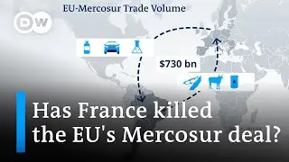 Is the disagreement over the EU-Mercosur deal playing into Chinas hands? | DW News