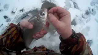 Зимняя ловля на подтяг,покаток