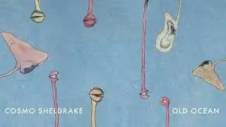 Cosmo Sheldrake - Old Ocean