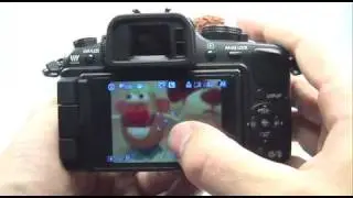 Panasonic G1/GH1: Spot Meter
