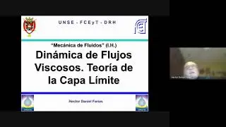 Conceptos de Capa Límite y Flujo Viscoso en Canales . Introducción