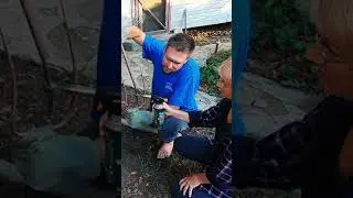 🍅 DIY Broken Pitchfork Cultivator 🌱 For Deep Garden Cultivation 