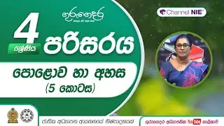 පොළොව හා අහස 5 (පරිසරය ආශ්‍රිත ක්‍රියාකාරකම්)- 04 ශ්‍රේණිය - (පරිසරය)