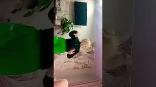 7 мая 2023 г.