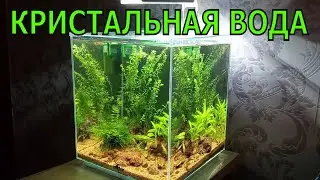 Кристальная вода в аквариуме.  Как чистить аквариум.  ТЦ Мега.