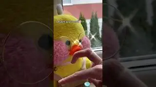 УХОД ЗА УТОЧКОЙ ЛАЛАФАНФАН 