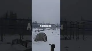 АНОМАЛИЯ/ ВЕЗДЕ СНЕГ/ 