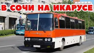 ETS 2 🔴В СОЧИ НА ИКАРУСЕ 250 ИНТУРИСТ, КОНВОЙ С МОДАМИ / Logitech G27 gameplay