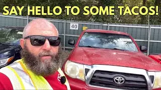 Trying to Find the Perfect Toyota Tacoma at COPART SALVAGE AUCTION