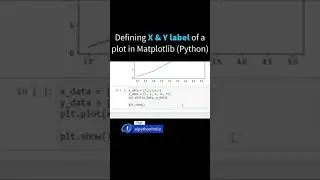 Assign X & Y label to a plot in Matplotlib Python