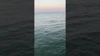 Возвращение на канал после длительного отпуска, соскучилась по вам❤️