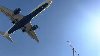 IMG 1619