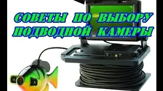 Советы по выбору подводной камеры.