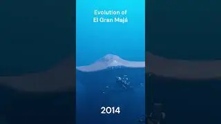 Evolution of El Gran Majá 