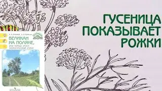 Гусеница показывает рожки. Великан на поляне