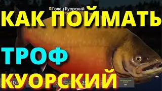 ГОЛЕЦ КУОРСКИЙ ТРОФЕЙНЫЙ - КАК ПОЙМАТЬ и На ЧТО фарм КУОРИ 🔴 РУССКАЯ РЫБАЛКА 4 / Russian Fishing 4