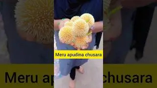 meku e flower name telusa 