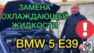 Replacement coolant BMW E39 E34 / How to fill antifreeze in the cooling system