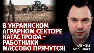 В Украинском аграрном секторе катастрофа - работники массово прячутся! | Арестович | Канал Центр