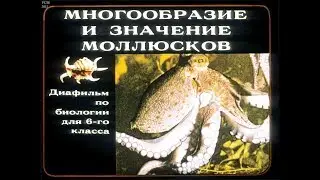 Диафильм Многообразие и значение моллюсков /по биологии для 6 класса/