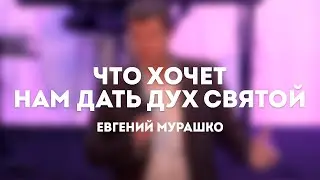 Евгений Мурашко / Что хочет нам дать Дух Святой / 29 октября 2023 / Церковь Жатвы Курган