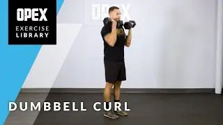 Dumbbell Curl - OPEX Exercise Library