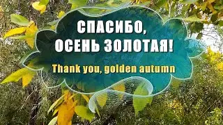 Тебе спасибо осень золотая.Любите этот день...сейчас! Красивые стихи про осень Релакс