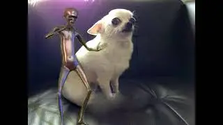 Howard the Alien music Meanwhile in Area 51 пришелец ебанько
