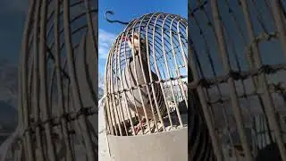 Садои кабки мода - Modakabk