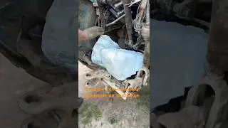 Ни дня без соли! 