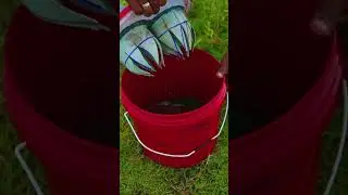 Bucket 🪣 Fish Trap 🤯 அட இது தெரியாம போச்சே..!? #shorts