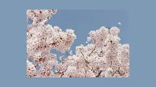 Best Indie Discoveries | April 2024 (Part 3)
