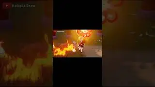 Genshin Impact Funny Moment 