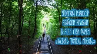ТОННЕЛЬ ЛЮБВИ – САМОЕ РОМАНТИЧЕСКОЕ МЕСТО УКРАИНЫ