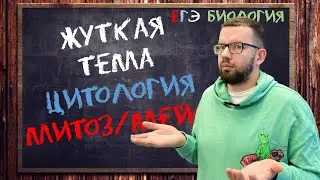 Жуткая тема – МИТОЗ/МЕЙОЗ | ЦИТОЛОГИЯ ЕГЭ БИОЛОГИЯ