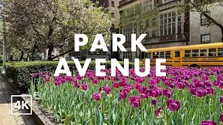 NYC Photography Walk - Park Avenue