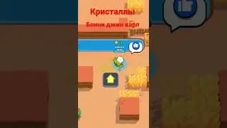 Пики на испытания чемпионата в 
