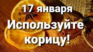 17 января используйте корицу! Астропрогноз