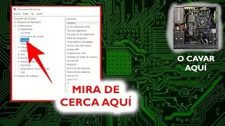 ¿Cómo saber qué tarjeta gráfica está en la computadora sin subir dentro? Incluso abuela lo entenderá
