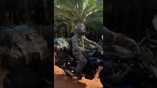 Bajaj Pulsar 220 rocketing by!