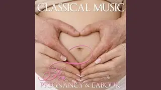 Concerto for Orchestra, Sz. 116, BB 123: III. Elegia. Andante non troppo
