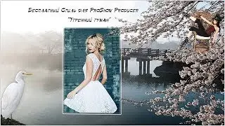 Бесплатный стиль для ProShow Producer 